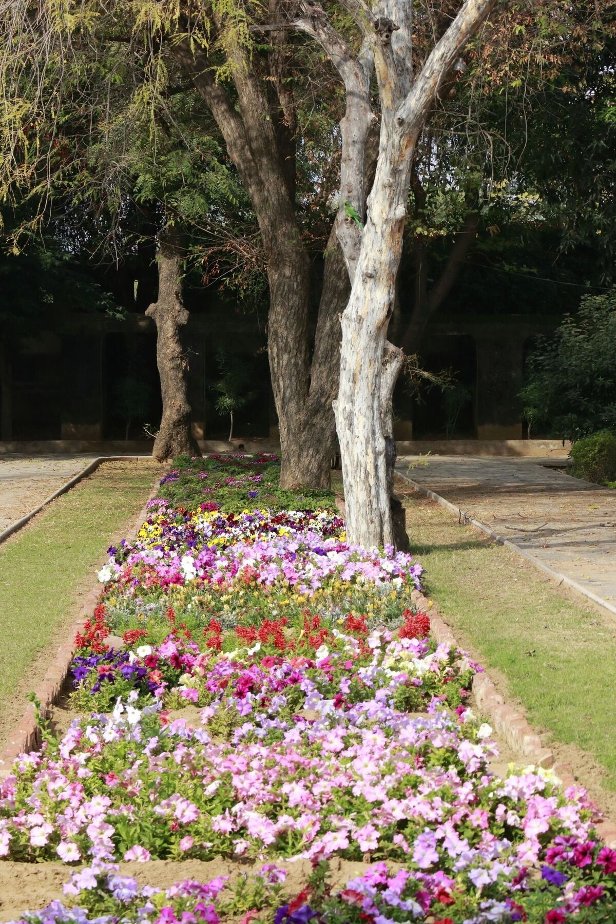 Hotel Samode Bagh Extérieur photo