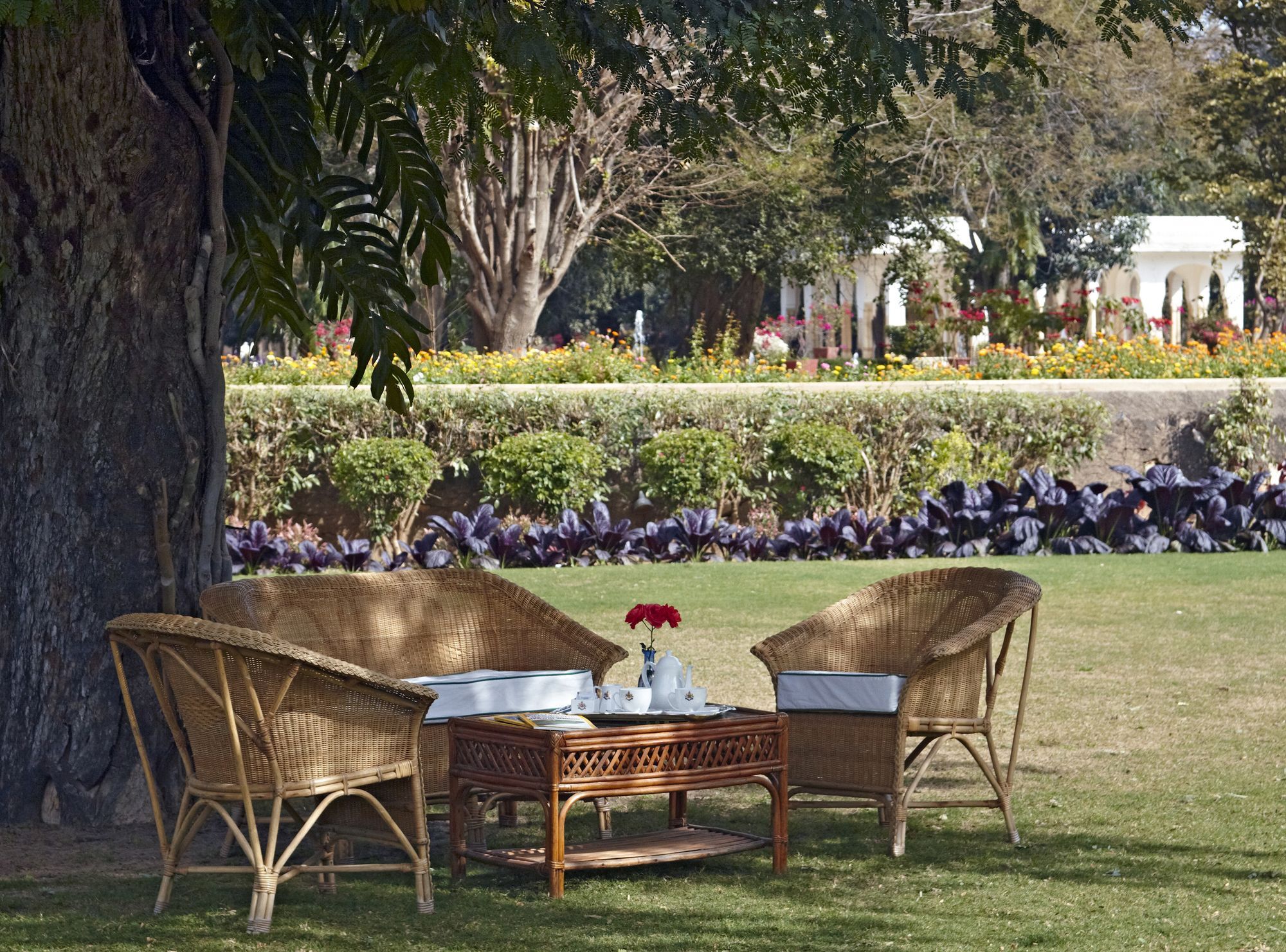 Hotel Samode Bagh Extérieur photo